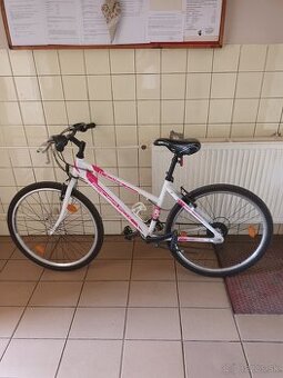 Horský bicykel