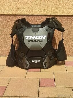Thor guardian