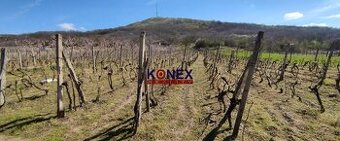 NA PREDAJ – Vinica – Malý Kamenec