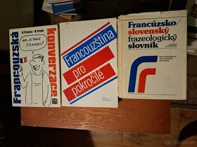 Fracúzske a ruské slovníky a učebnice