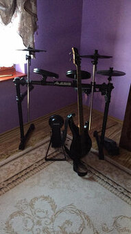 el.bicie-Alesis dm6