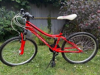 Bicykel