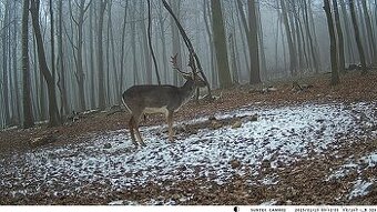 Fotopasca HC900M, posielanie MMS, EMAIL