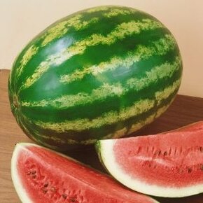 Melony - 1