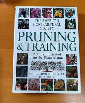 Pruning and training