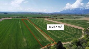 Podhorany – 8.227 m2 ORNÁ PÔDA v podiele 1/1 – Predaj