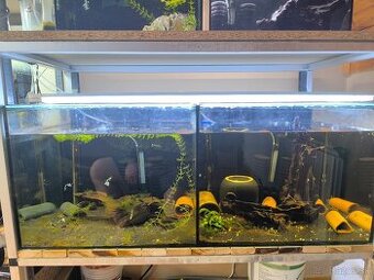 Predám akvárium + príslušenstvo / stojan