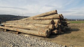 Ukladané bukové palivové drevo