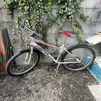 pánsky bicykel dema