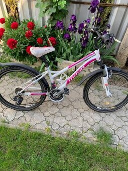 Bielo ružový bicykel.