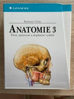 Anatomia - Čihák 3