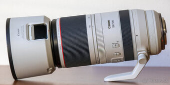 Canon RF 100-500mm f/4.5-7.1L IS USM