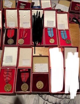 Vojenske odznaky 18 (Medajle - SNP)