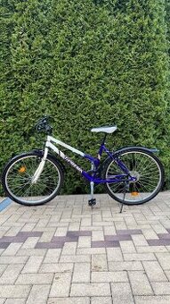 Dámsky Bicykel