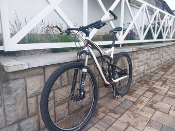 Specialized Camber