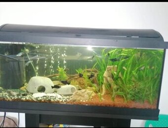 Akvarium 98l SET