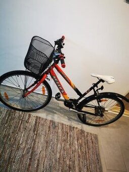 Damsky bicykel