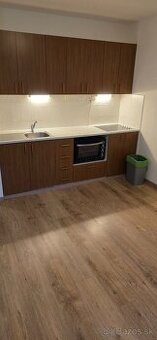 Jednoizbovy byt na prenajom - 1