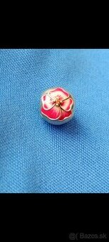 Pandora clip