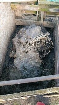 Darujem kompost za odvoz