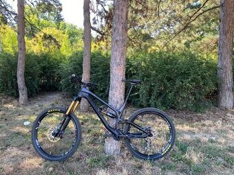Canyon Torque CF 9.0 Carbon / L