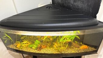 300l akvarium rohové so skrinkou