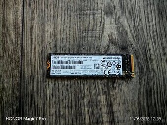 256GB NvMe SSD Western digital
