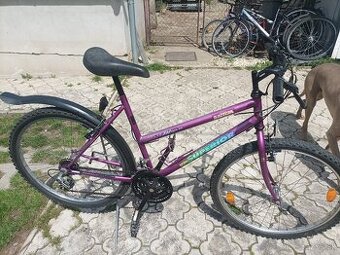Dámsky bicykel