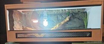 Trárium 100x40x40Agama bradatá  Vianočná zľava