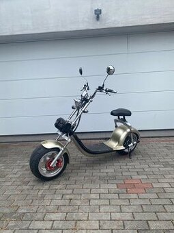 Electric Harley
