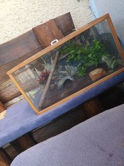 Terarium s 3D stenou