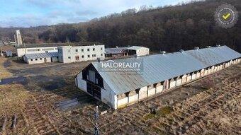 HALO reality - Predaj, výrobný priestor Hontianske Tesáre, P