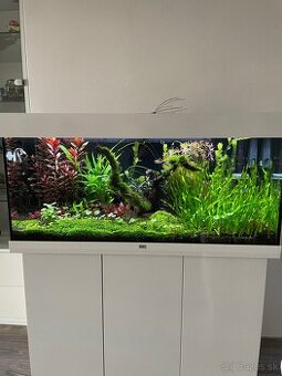 Juwel Rio 180