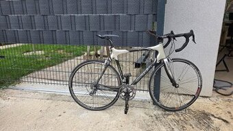 Orbea