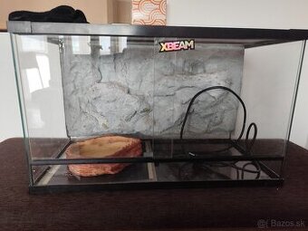 Terarium