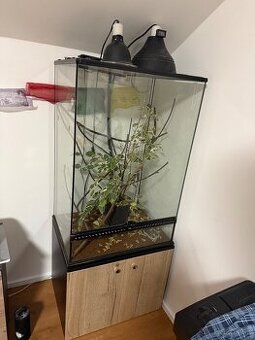 Predam terarium s vybavenim + vonkajsie flexarium