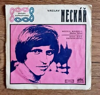 Václav Neckář - Motejl Modrejl / Goo Goo Barabajagal 7"