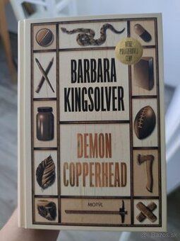 Predám knihu Demon Copperhead v slovenčine