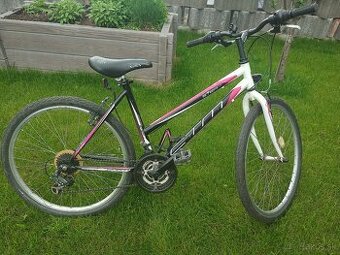 Bicykel CTM