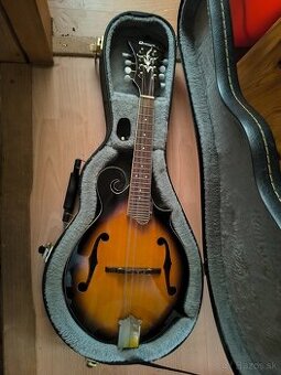 gitara