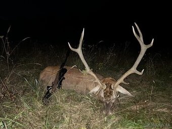 Celoročný lov- polovačka