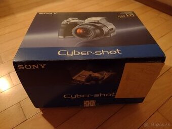 Sony DSC-H1