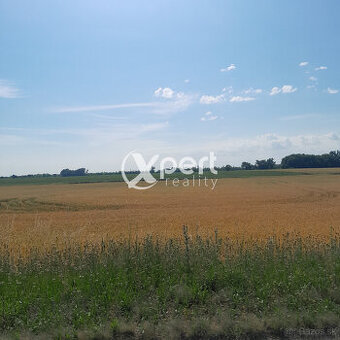 Predaj orná pôda 300.000m2 v katastri Malé Blahovo okres DS