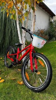 Specialized Jett 20