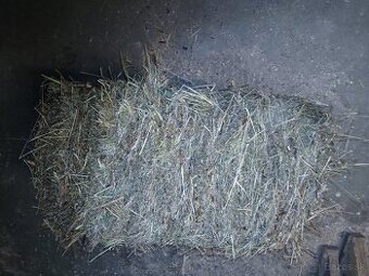 Predam male hranaté balíky seno