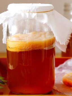 Predam čajovú hubu kombucha + nálev pre prípravu kombuchy