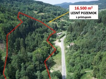 16.500 m2 LES, podiel 1/1, Petrovice (Bytča)