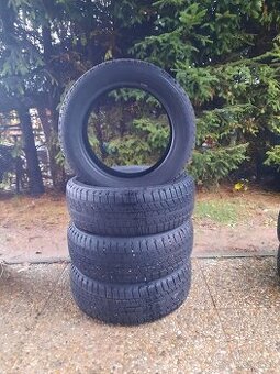 195/55 R16zimne