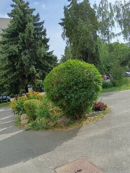 TOP PONUKA 2IZB V PERFEKTNEJ LOKALITE