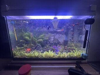 Predám akvaria